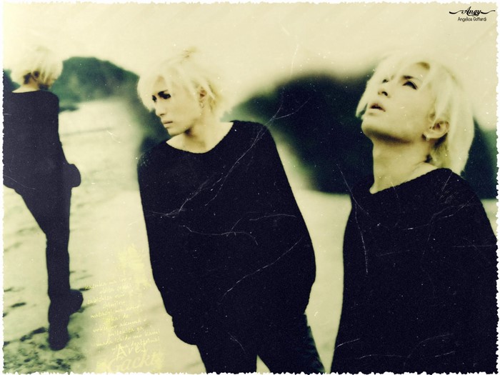 Gackt Camui on a beach