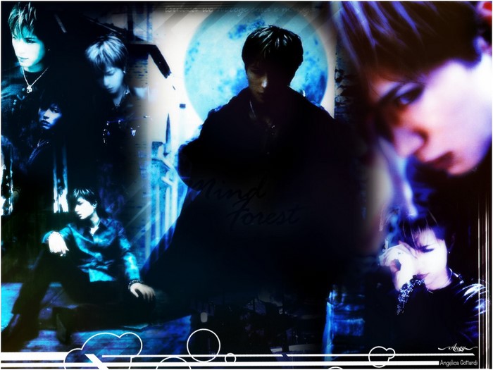 Gackt Camui collage