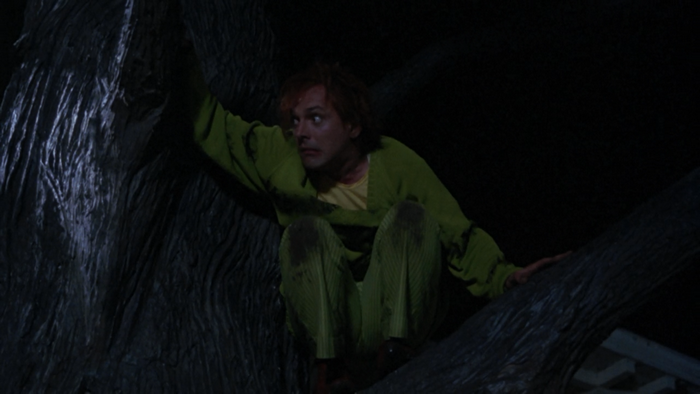 Rik Mayall in a tree