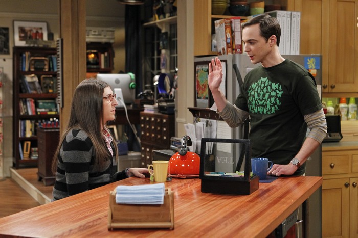 Sheldon and Amy from The Big Bang Theory