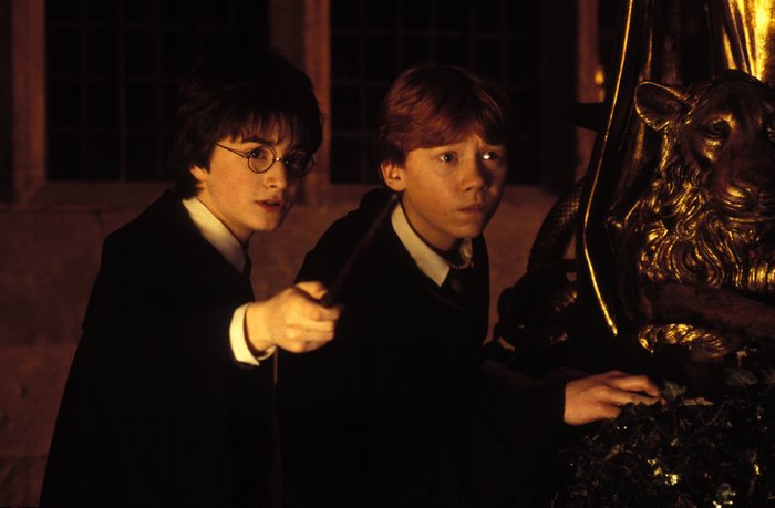 Harry Potter and Ron Weasley from Harry Potter