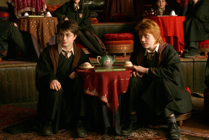 Harry Potter and Ron Weasley in Gryffindor common room