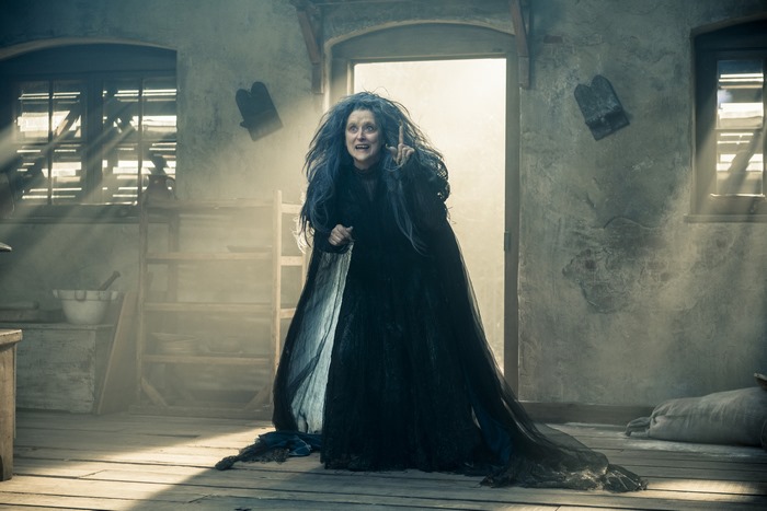 Meryl Streep as Witch in Into the Woods