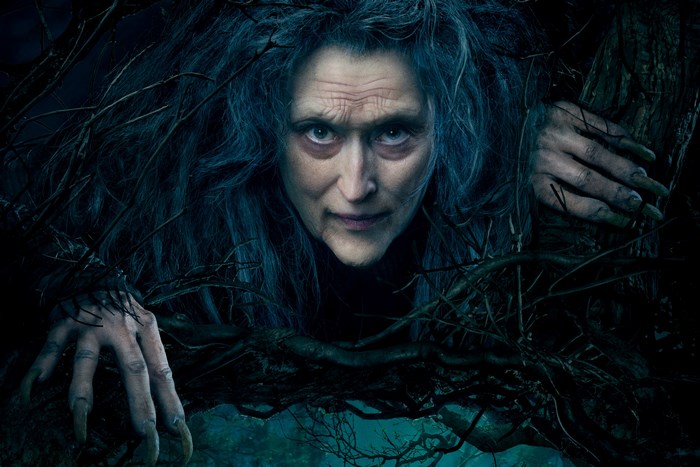 Meryl Streep as the Witch in Into the Woods