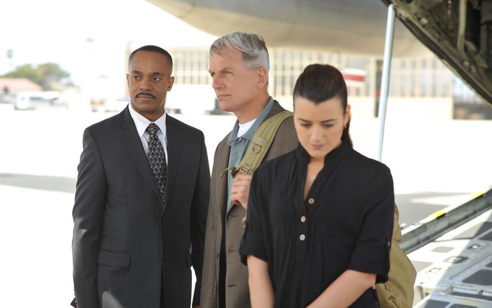 NCIS: Mark Harmon, Michael Weatherly, Cote de Pablo