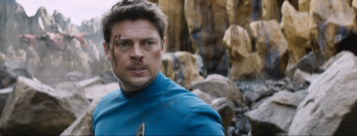 Dr. Leonard McCoy from Star Trek