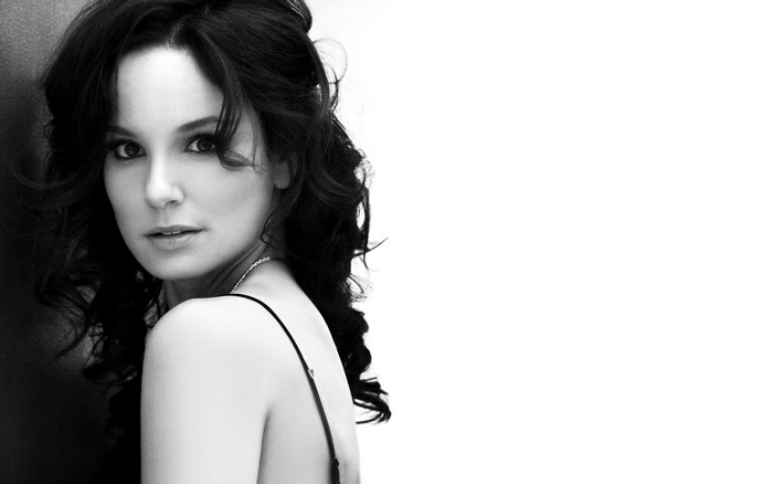 Sarah Wayne Callies portrait