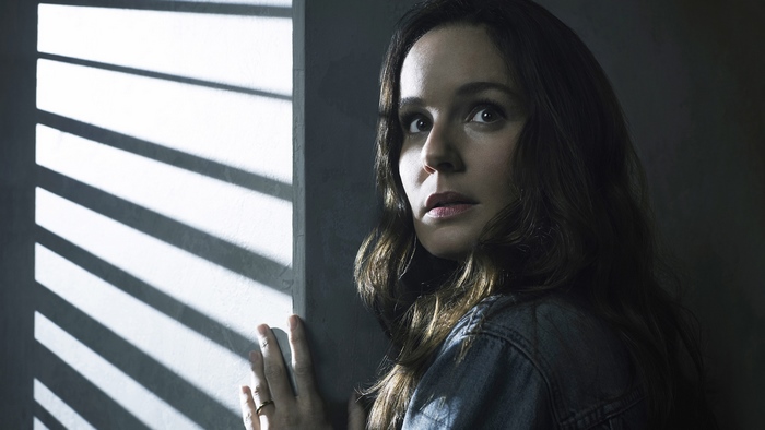 Sarah Wayne Callies