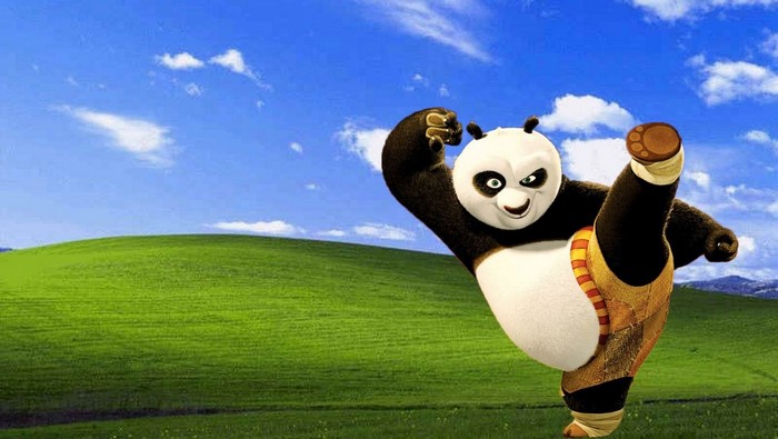 Po from Kung Fu Panda on a grassy hill