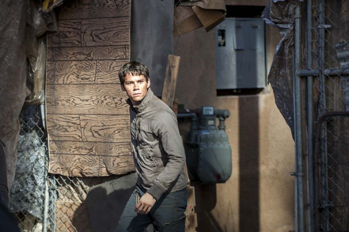 Dylan O'Brien in The Maze Runner