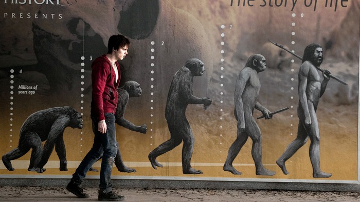 Nicholas Hoult walks past evolution mural