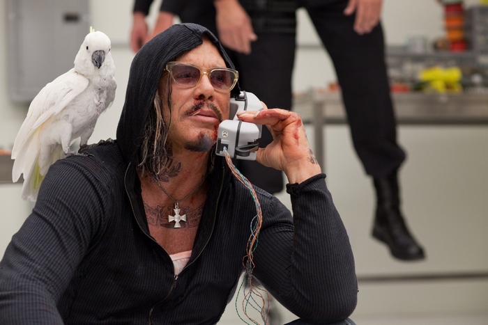 Mickey Rourke with a cockatoo