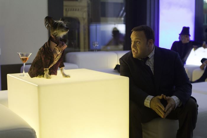 Kevin James with a dog in a suit