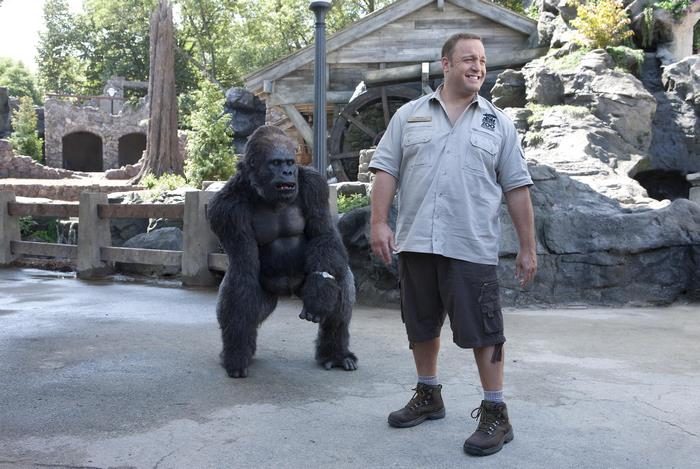 Kevin James with a gorilla at the zoo