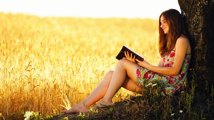 Girl reading a book under a tree in a wheat field