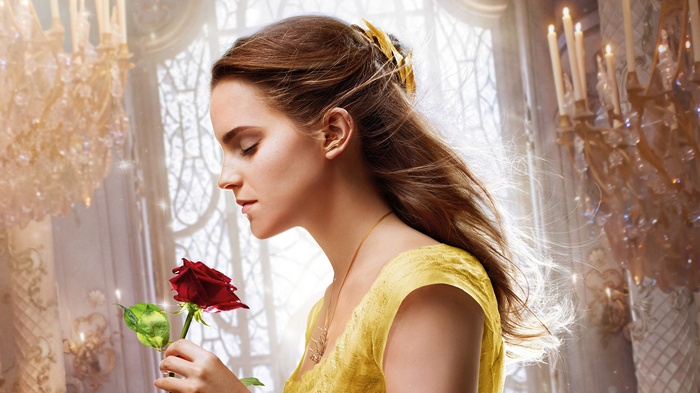 Belle from Beauty and the Beast holding a rose