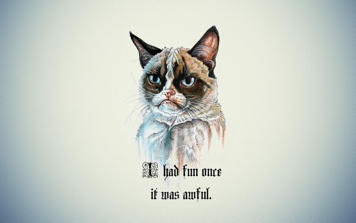 Grumpy Cat with quote