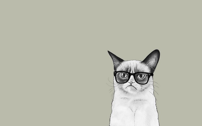 Grumpy Cat wearing glasses