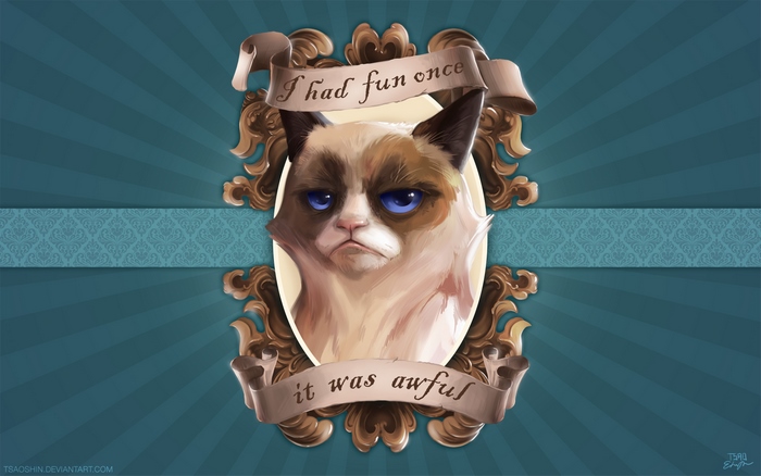 Grumpy Cat in ornate frame with text