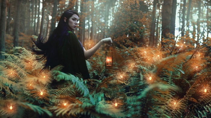 Elf woman holding lantern in a magical forest