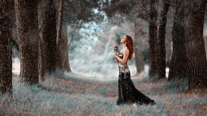 Woman in black dress holding a red rose in a forest