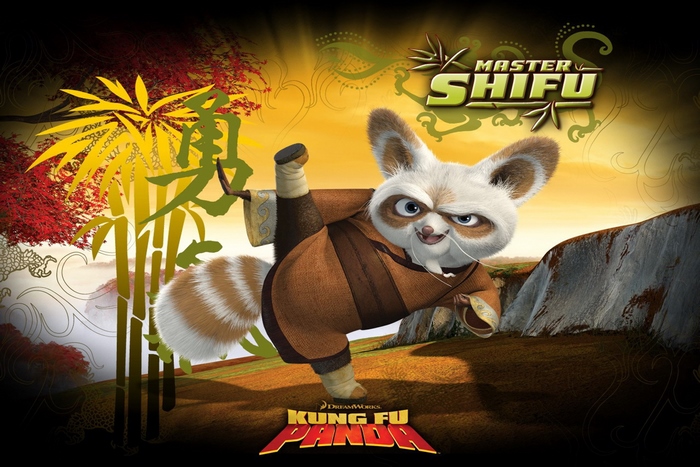 Master Shifu from Kung Fu Panda