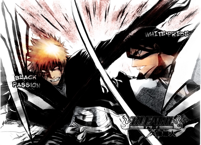 Ichigo Kurosaki and Byakuya Kuchiki from Bleach