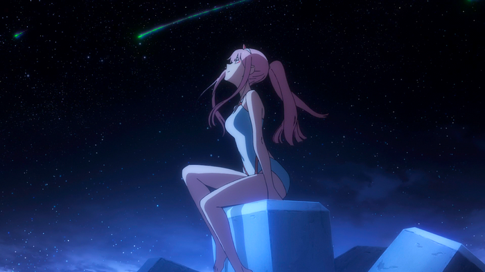 Zero Two Under Starry Night Sky