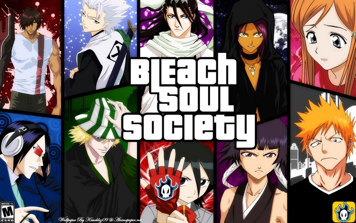 Bleach Soul Society: Ichigo, Rukia, and other characters