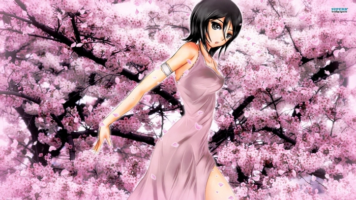 Rukia Kuchiki from Bleach