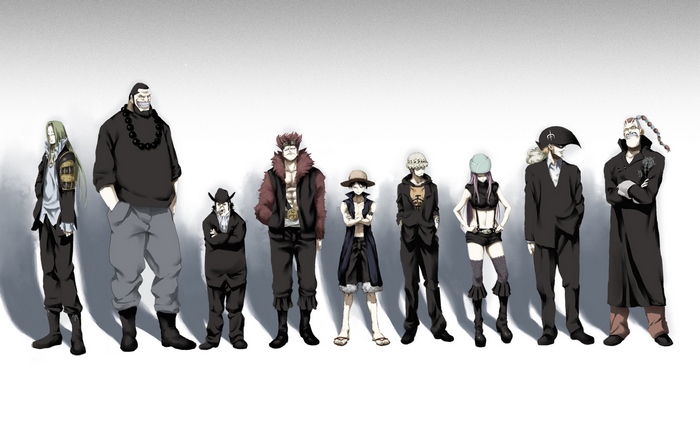 One Piece characters in a line