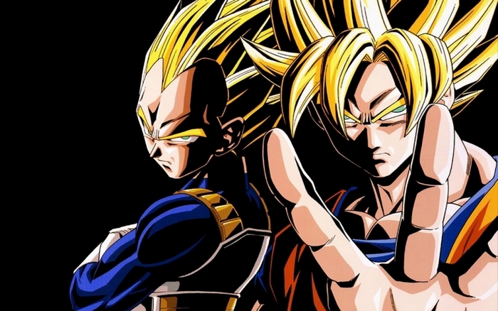 Goku and Vegeta from Dragon Ball Z