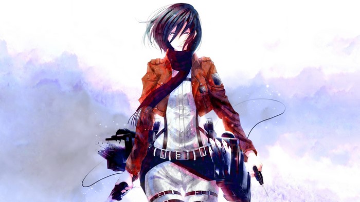 Mikasa Ackerman from Attack on Titan