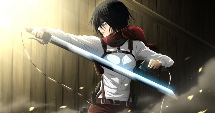 Mikasa Ackerman from Attack on Titan