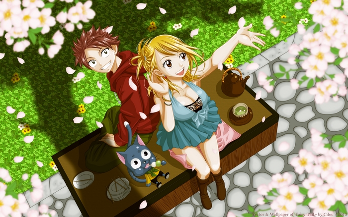 Natsu Dragneel and Lucy Heartfilia from Fairy Tail