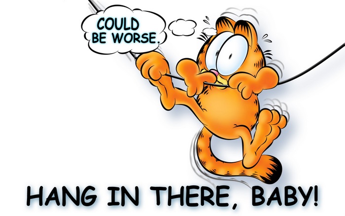 Garfield hanging from a wire