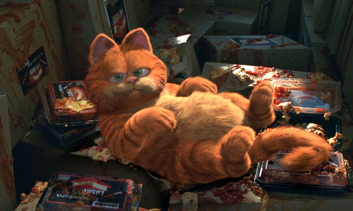 Garfield in a messy room with food containers
