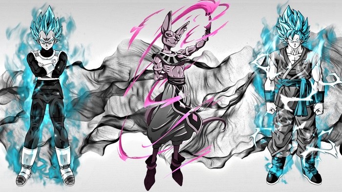 Vegeta, Beerus, and Goku from Dragon Ball