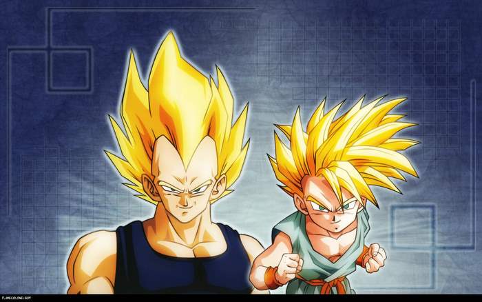 Vegeta and Trunks from Dragon Ball Z