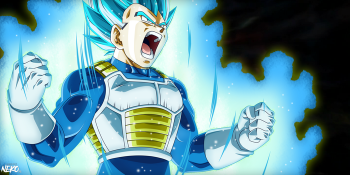 Vegeta from Dragon Ball Super Saiyan Blue