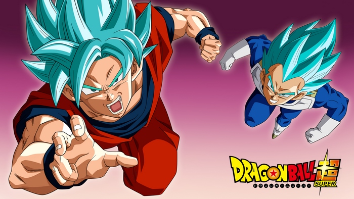 Goku and Vegeta from Dragon Ball Super