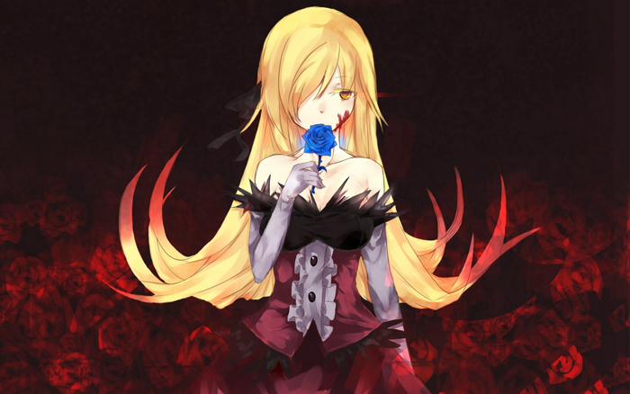 Shinobu Oshino with a blue rose