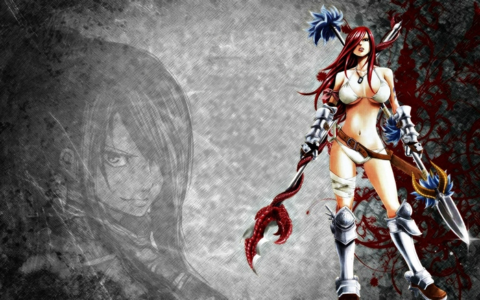 Erza Scarlet from Fairy Tail
