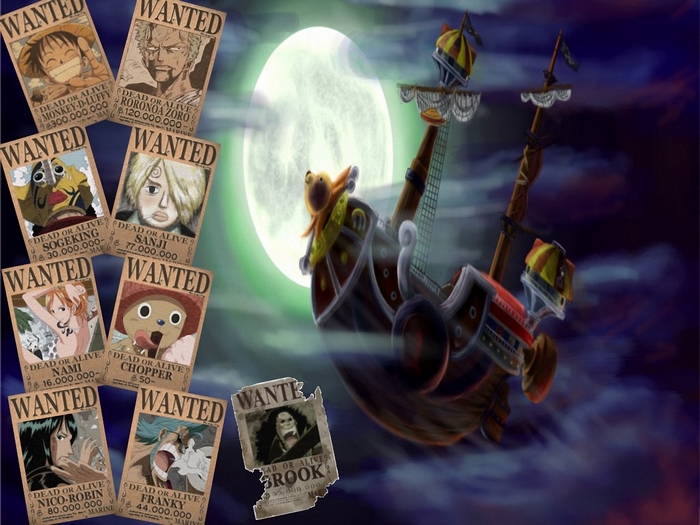 One Piece Wanted Posters and Thousand Sunny Ship