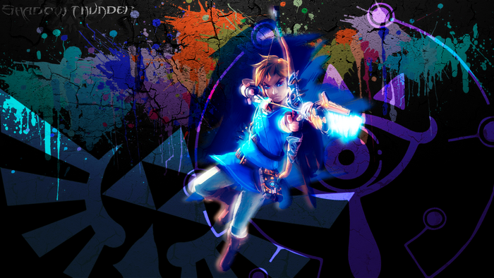 Link from The Legend of Zelda: Shadow Thunder
