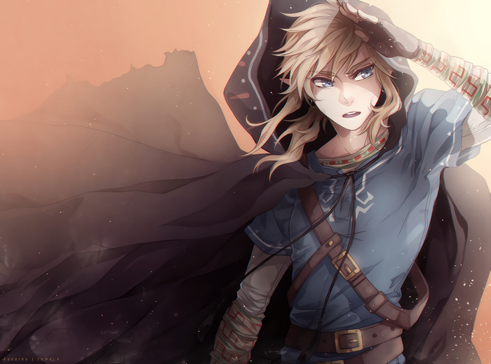 Link from The Legend of Zelda
