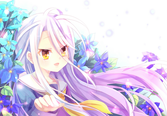 Shiro from No Game No Life