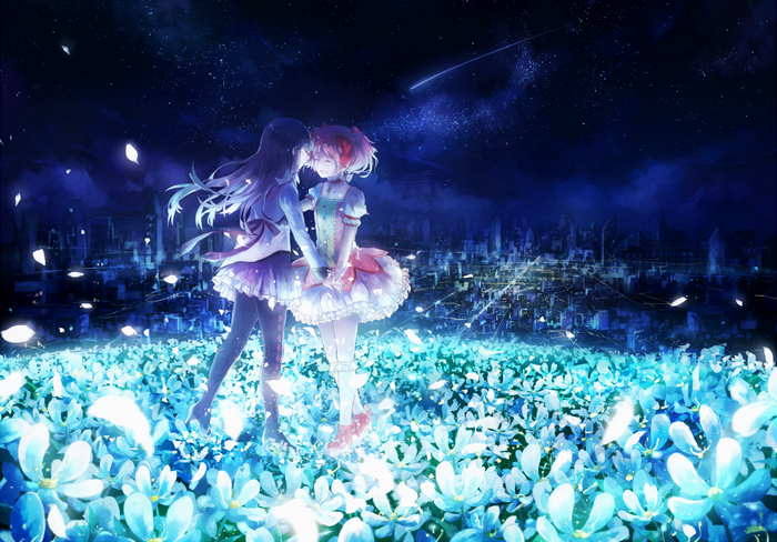 Homura Akemi and Madoka Kaname in a field of flowers