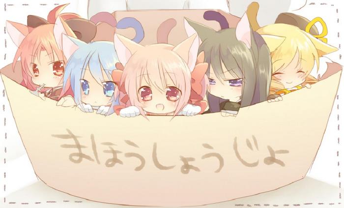 Five anime girls with cat ears in a box