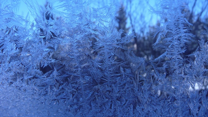 Frost patterns on a window